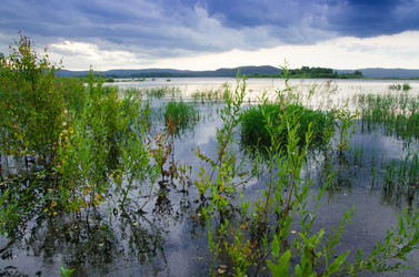 Similar image 6406590