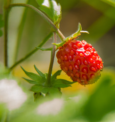 Similar image 6406592