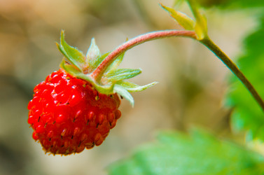 Similar image 6406593