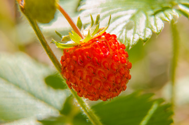 Similar image 6406594