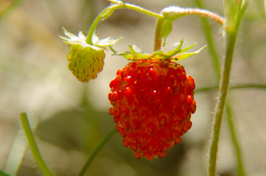 Similar image 6406595