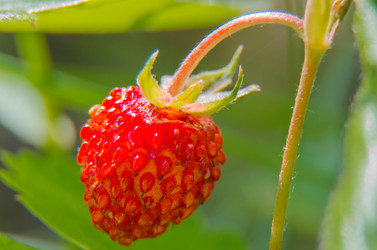 Similar image 6406596