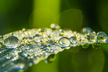 Similar image 6406598