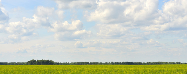 Similar image 6406606