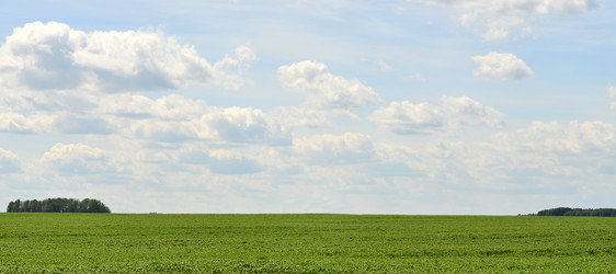 Similar image 6406607