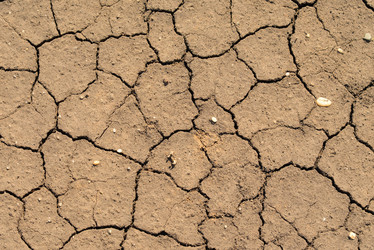 Similar image 6406643