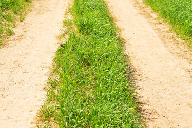 Similar image 6406653