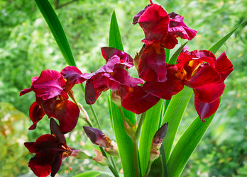 Similar image 6406686