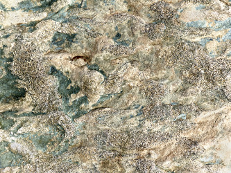 Similar image 6406696