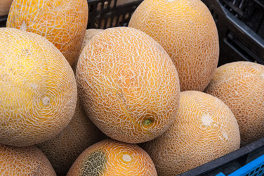 Similar image 6406700