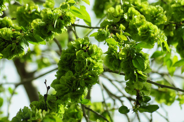 Similar image 6406706