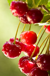 Similar image 6406728