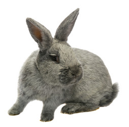 Similar image 6406804