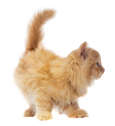 Similar image 6406806