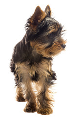 Similar image 6406809