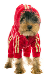 Similar image 6406994