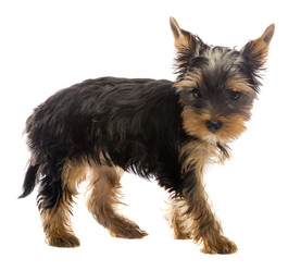 Similar image 6406996