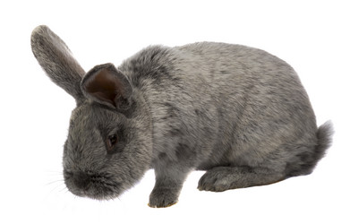 Similar image 6406998