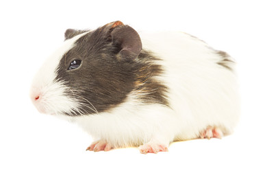 Similar image 6407000