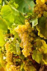 Similar image 6407026