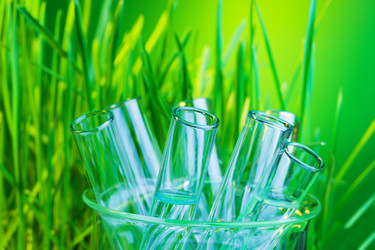 Similar image 6407119