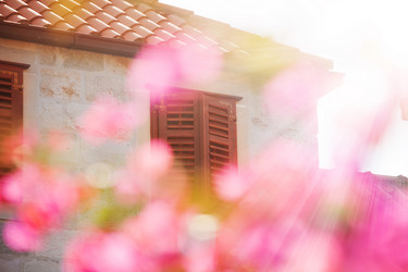 Similar image 6407146