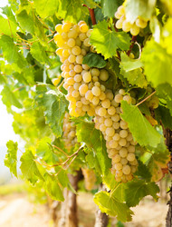 Similar image 6407199