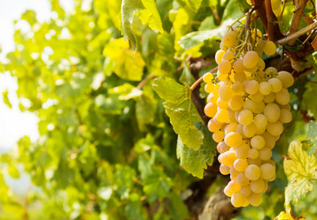 Similar image 6407220