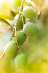 Similar image 6407261