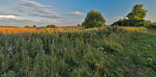 Similar image 6407304