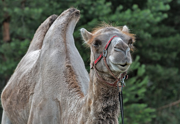 Similar image 6407306