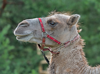 Similar image 6407307