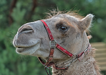 Similar image 6407308