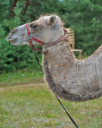 Similar image 6407309