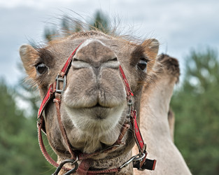 Similar image 6407310