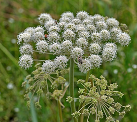 Similar image 6407311