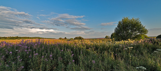 Similar image 6407312