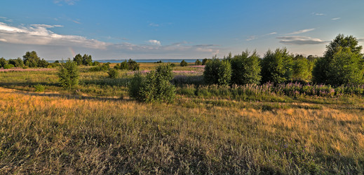 Similar image 6407313