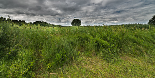 Similar image 6407337