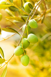 Similar image 6407343