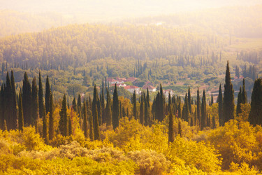 Similar image 6407350