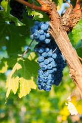 Similar image 6407394