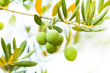 Similar image 6407456