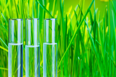 Similar image 6407462