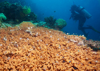 Similar image 6407498