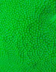 Similar image 6407512