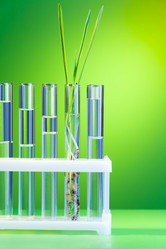 Similar image 6407535