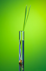 Similar image 6407546