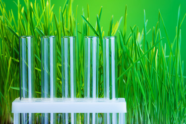 Similar image 6407548