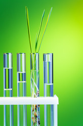 Similar image 6407549